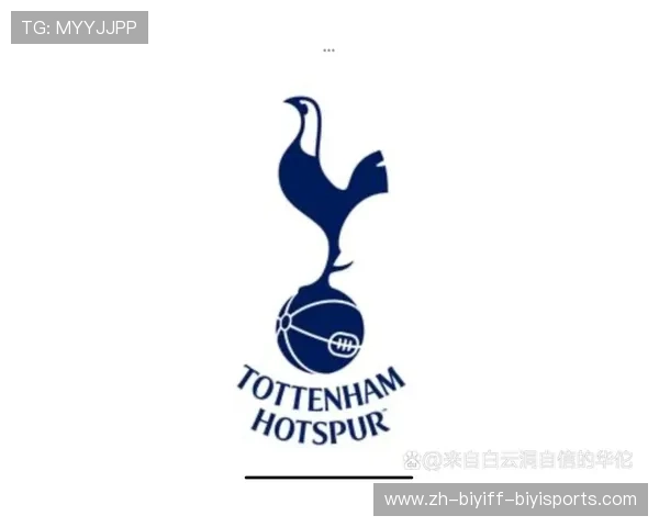 意甲球队破产程序及俱乐部财务风险案例研究 意甲球队破产程序及俱乐部财务风险案例研究